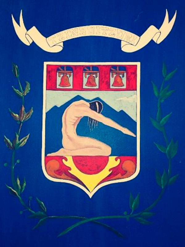 Escudo Tingüindín
